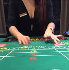 ppvip8 betting platform overview with mobile focused esports style layout